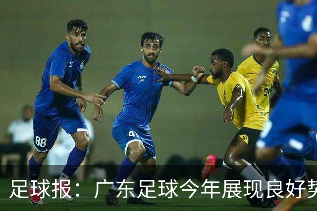 足球报：广东足球今年展现良好势头，广州豹、深圳青年人全力冲超
